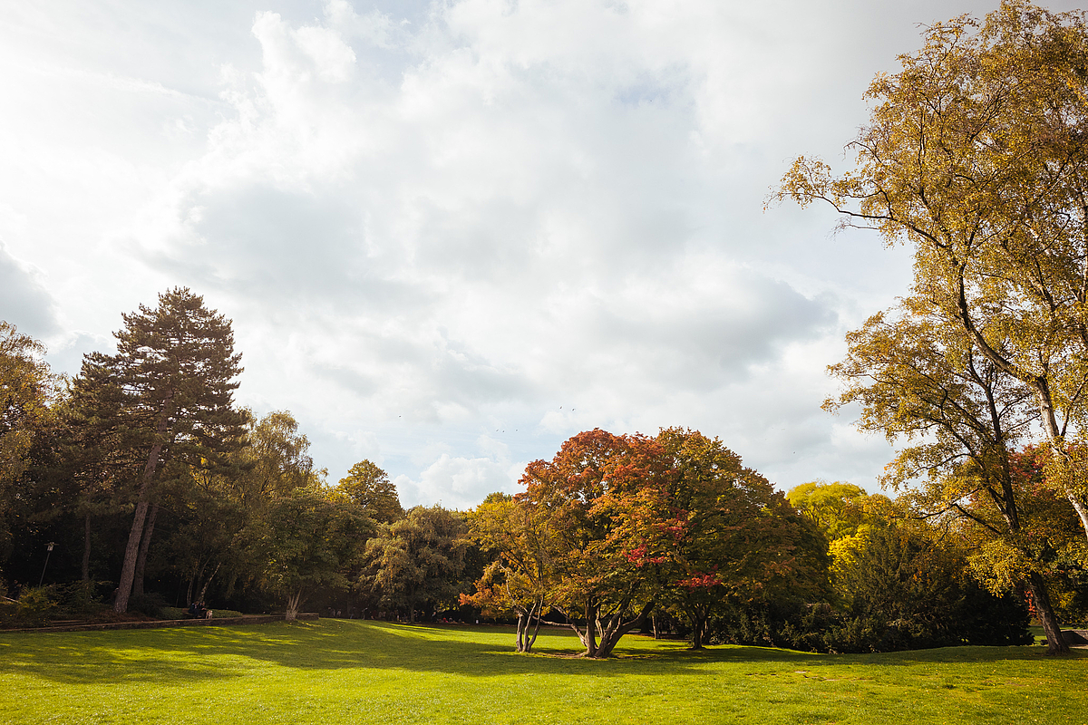 Wintersaison Im Grugapark Ig R Ttenscheid